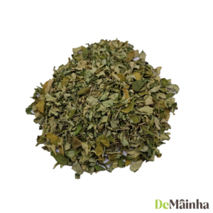 Moringa Folhas