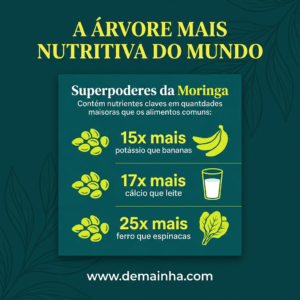 Moringa Sementes – 50 unidades